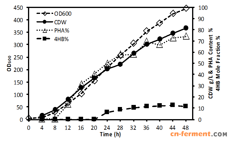 盐单胞菌用于低成本P34HB的工业化中试放大生产