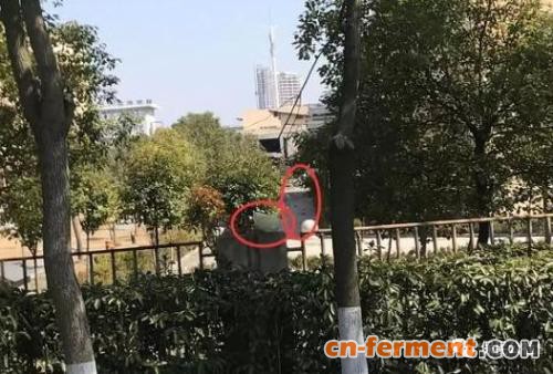 江苏又一家化工厂爆炸！中国保险大省的致命抢救！