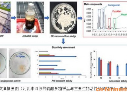 污水生物处理中新型高价值稀缺资源回收：硫酸多糖（SPs）