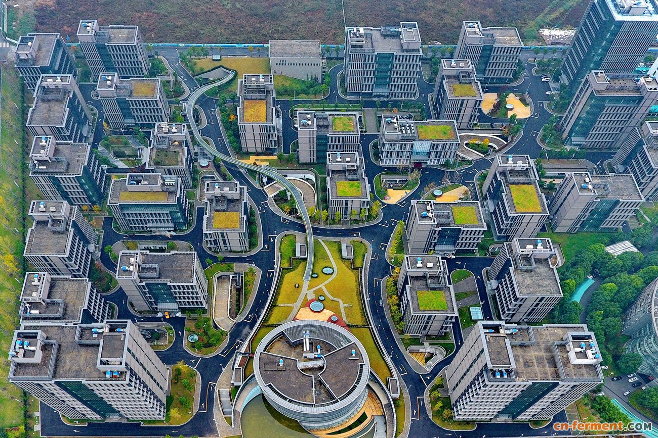 图为东方美谷俯瞰图。奉贤区宣传部供图