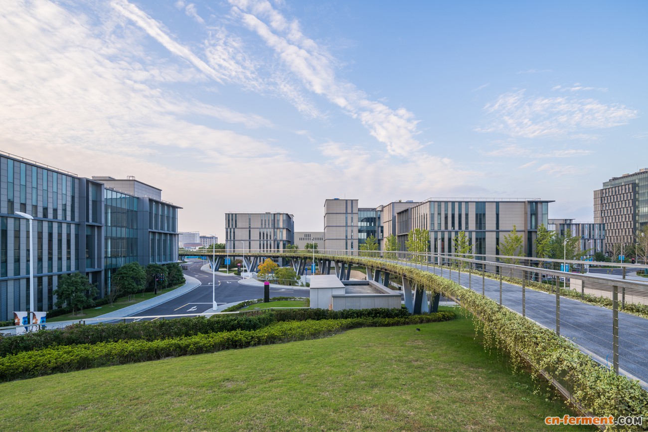 图为位于南上海奉贤的&ldquo;东方美谷&ldquo;。奉贤区宣传部供图