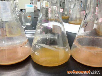 膜过滤浓缩系统过滤发酵液的工艺优势