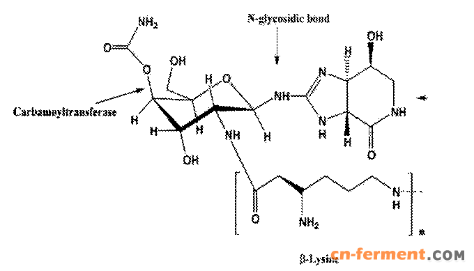 Figure CN103901128BD00041