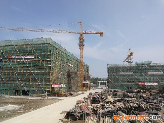 宁波基因港100吨工厂