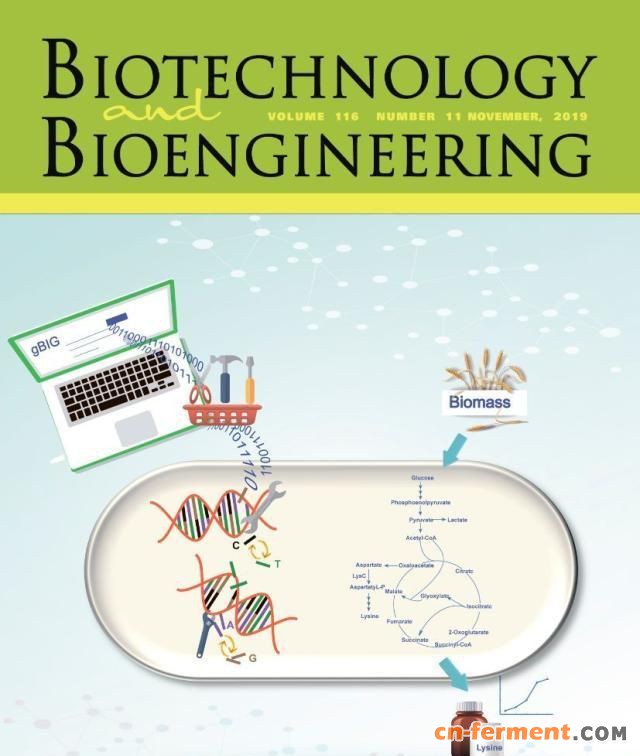 天津工生所在谷氨酸棒杆菌碱基编辑工具扩展方面取得进展