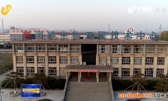 【冲刺四季度&middot;企业最前线】山东润德生物：持之以恒深耕氨基葡萄糖产业