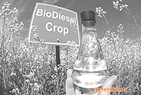 全球产量放缓，欧盟仍为主要产销区