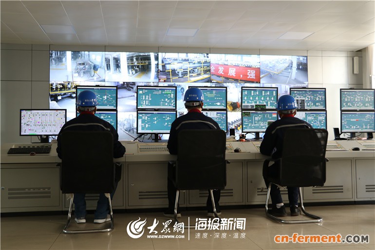 &ldquo;一招鲜&rdquo;就成行业隐形冠军 平原县福洋生物巧用人才谋发展