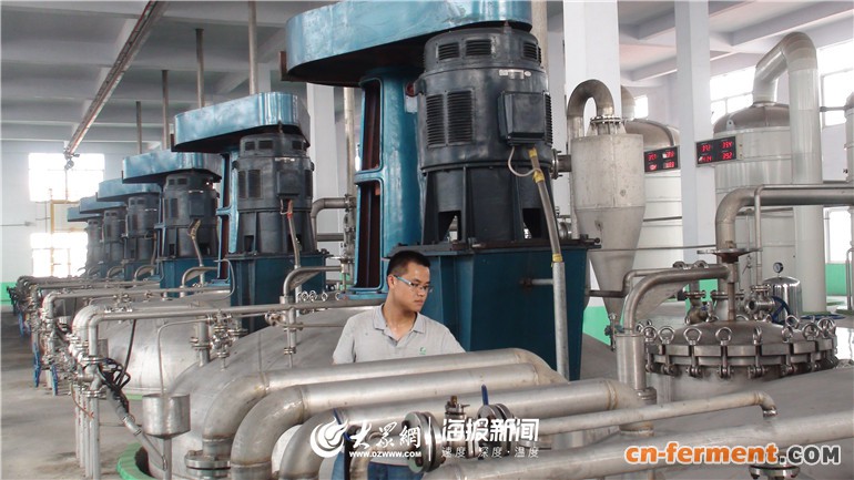 &ldquo;一招鲜&rdquo;就成行业隐形冠军 平原县福洋生物巧用人才谋发展