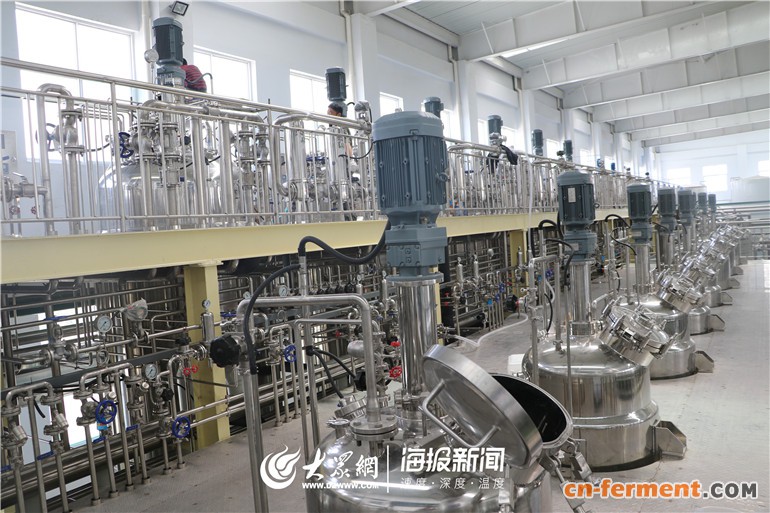 &ldquo;一招鲜&rdquo;就成行业隐形冠军 平原县福洋生物巧用人才谋发展