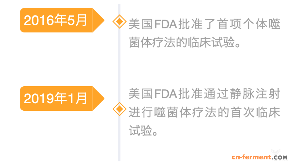 图1  FDA批准噬菌体相关临床试验.png