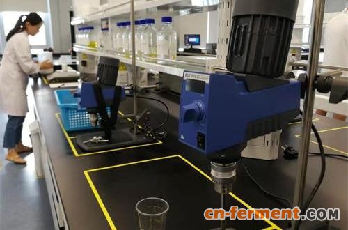 华熙生物上海研发中心(记者 姜煜 摄) 华熙生物上海研发中心(记者 姜煜 摄)