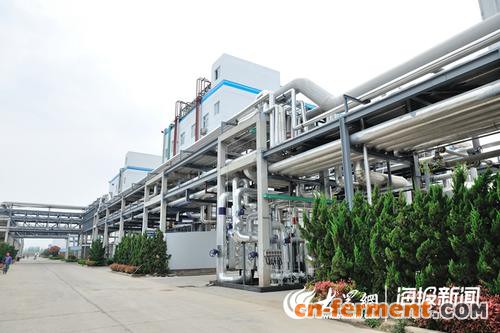 这就是山东丨菏泽定陶区：打造创新高地，建设高科技特色工业园区