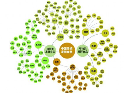 发酵食品分类和发酵食品用微生物