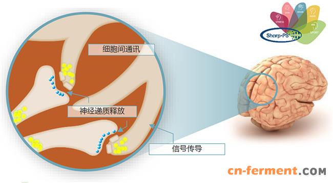 图片7.jpg 1