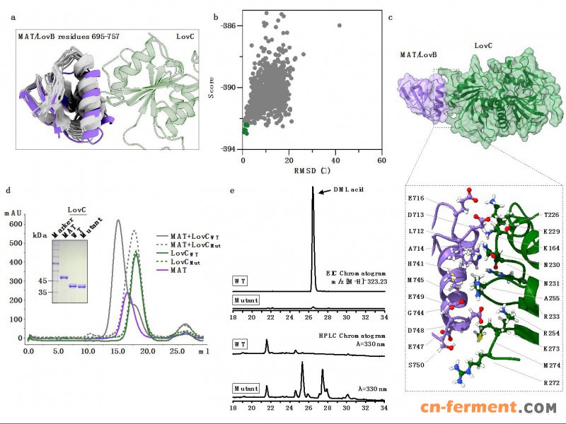 W020210209530932556535[1]