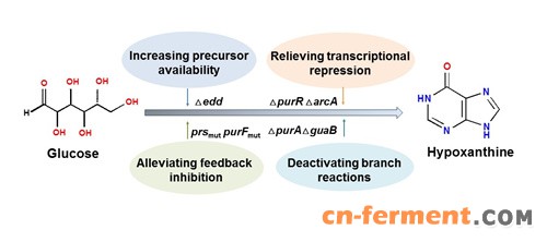 W020200312314987090507[1]