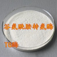 求购药品级TG酶（纯度有要求）