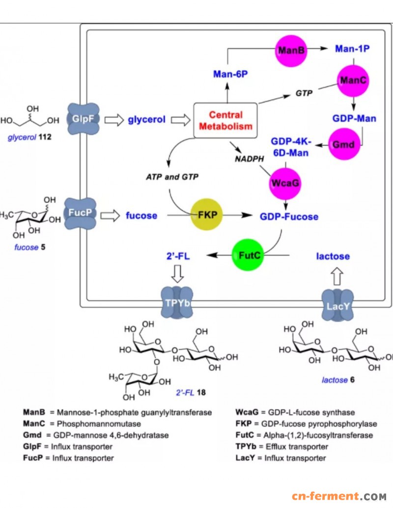 Screenshot_20210724_080837