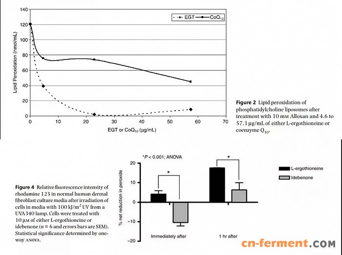 截图自相关文献