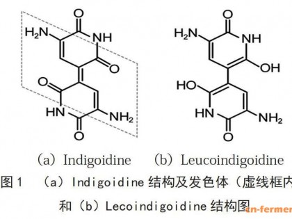 重组大肠杆菌产Indigoidine的发酵优化