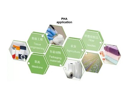 清华大学教授陈国强团队开拓生物制造技术新方向