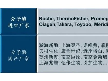 分子酶市场火热，新玩家还有机会吗？