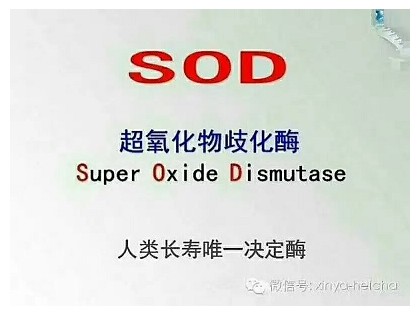 超氧化物歧化酶(SOD)活性的测定