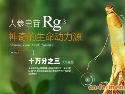 人参皂苷能否成为  合成生物赛道的下一张“王牌”？