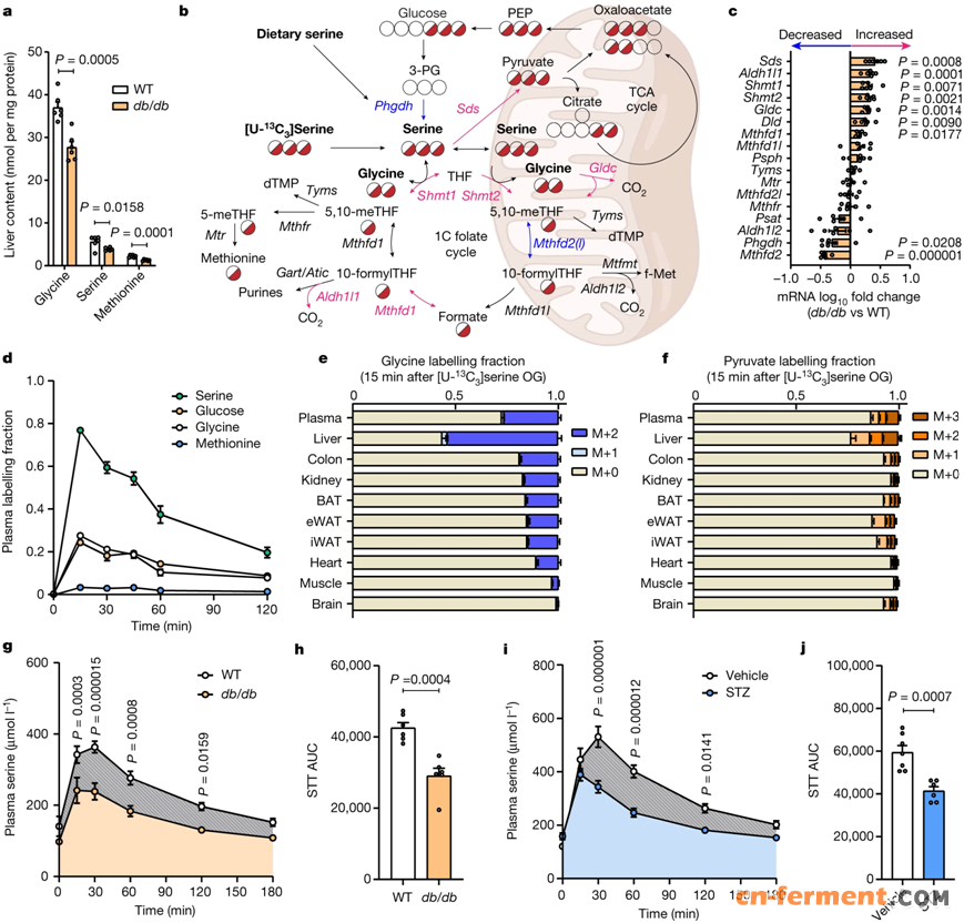 图片来自Nature, 2023, doi:10.1038/s41586-022-05637-6。
