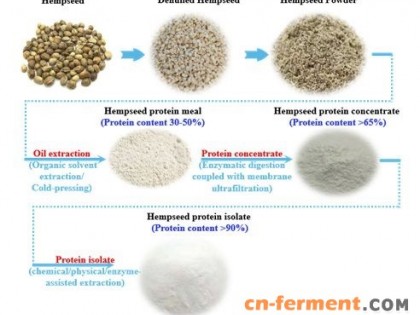超级植物蛋白—火麻仁蛋白的营养特性及其应用