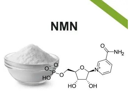 普利制药：β-烟酰胺单核苷酸(NMN)酶法可以获得公斤级高纯度样品，目前在研品种共150余个