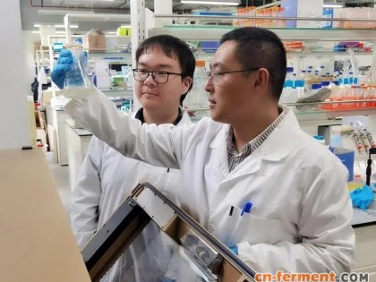 上科大构建可代谢四碳糖醇的大肠杆菌 可回收利用赤藓糖醇