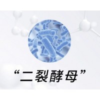 求购二裂酵母发酵技术