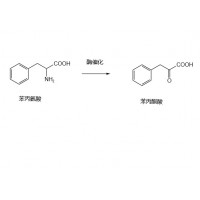 求购苯丙氨酸 通过酶催化生成   苯丙酮酸的技术