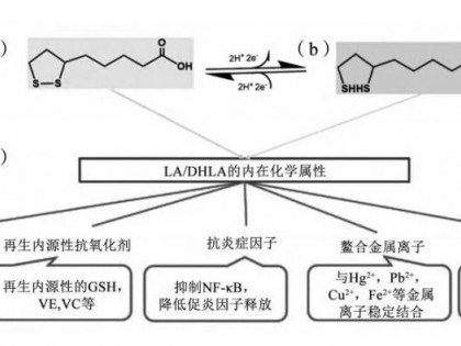 万能抗氧化剂硫辛酸：「还原剂的还原剂」