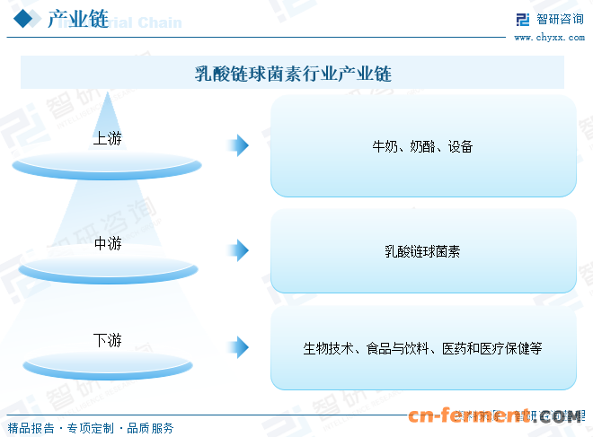乳酸链球菌素行业产业链