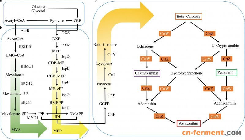 9b476ed7d89bdb5f89fddd7e894384ec[1]