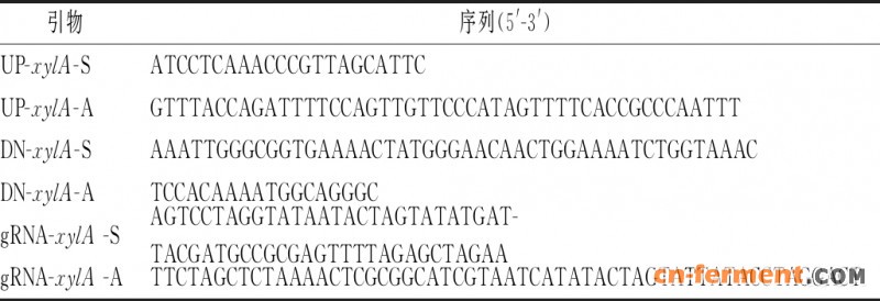bec70177c28a0347253d6af208ec3d44[1]