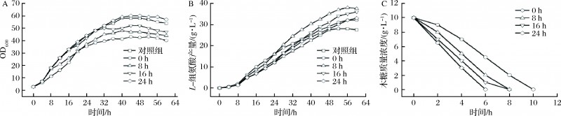 7b797e924f7172aff7e2379dfef2ca3c[1]