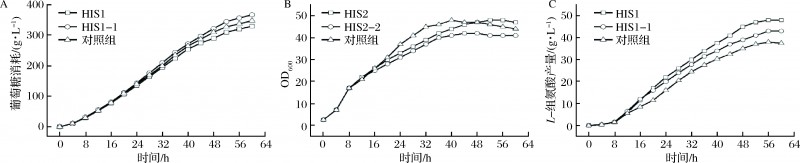 da61143a22bfc2020212cfe3efbef385[1]