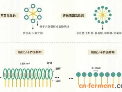 具有环状肽结构的天然高效生物表面活性剂——枯草菌脂肽钠