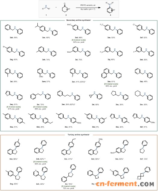 20250409-Angew. Chem. -刘臻-3. 底物适用性拓展与部分放大试验.jpg