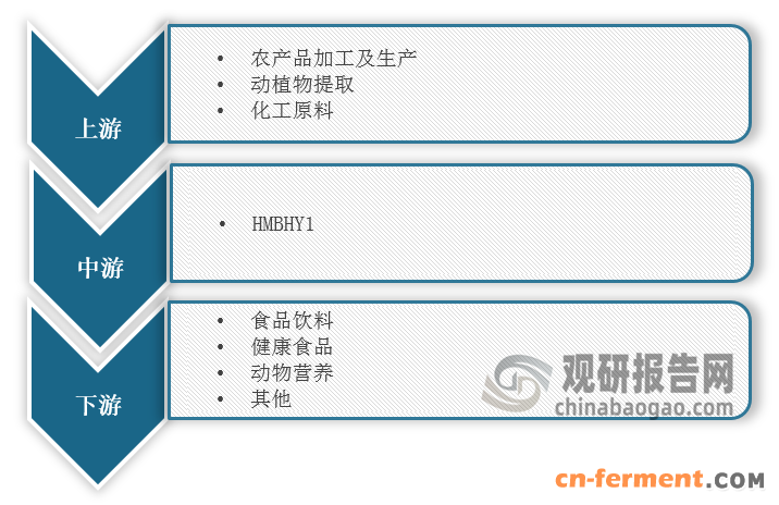 <strong>HMB行业产业链图解</strong>