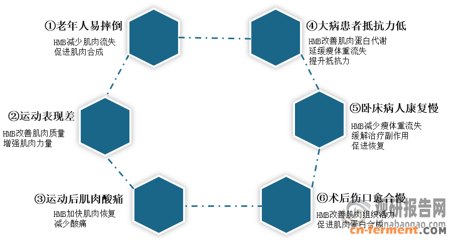 <strong>HMB有效改善由肌肉减少和功能衰退引发的一系列健康问题</strong>