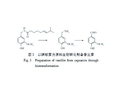 天然香料香氛的市场趋势与生物技术发展