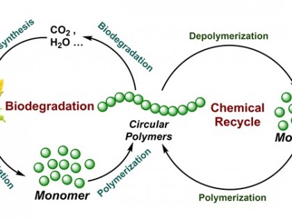 发酵呼吸熵检测：优化发酵工艺的重要指标