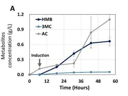 欣贝莱生物 | Metabolic Engineering：3-羟基-3-甲基丁酸(HMB)在大肠杆菌中的从头生物合成