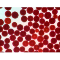 求购甲醇蛋白发酵技术