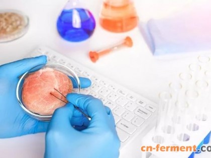 广东大力培育发展微生物蛋白等未来食品产业